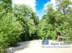 Waldflächen am westlichen Stadtrand Hamburgs im Naturschutzgebiet Wittenbergener Heide - Wald